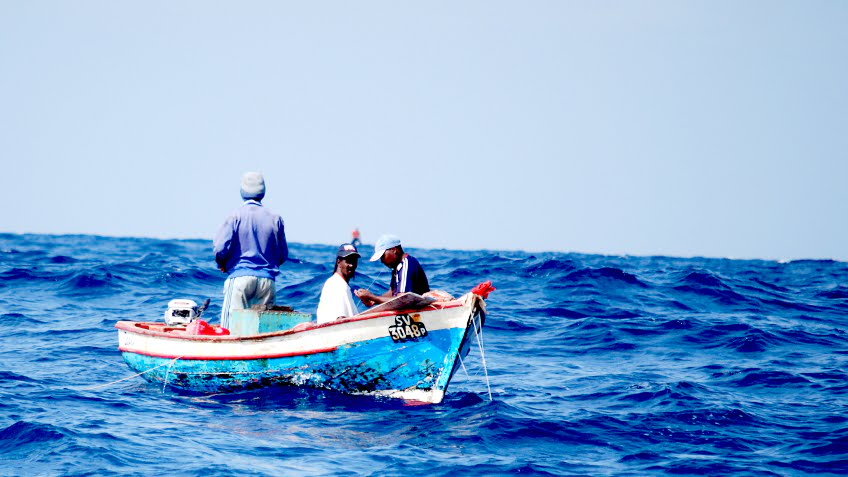 Fishing by boat and snorkeling watching marine species such as turtles in Santiago Island. Local food.